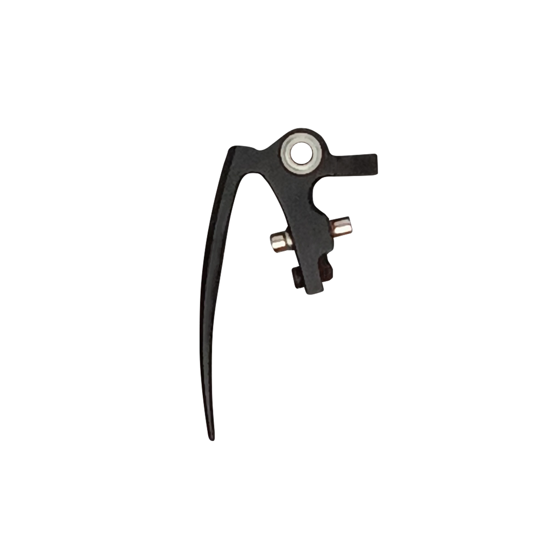 DSR+ FANG TRIGGER